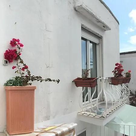 Maison Valentino *